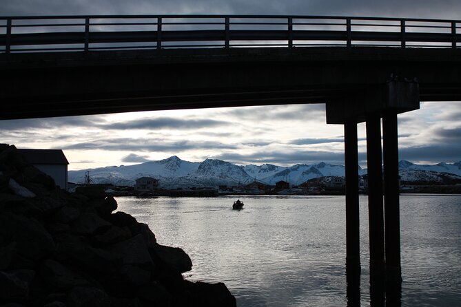 Fjord Adventure With Local - Tour Schedule