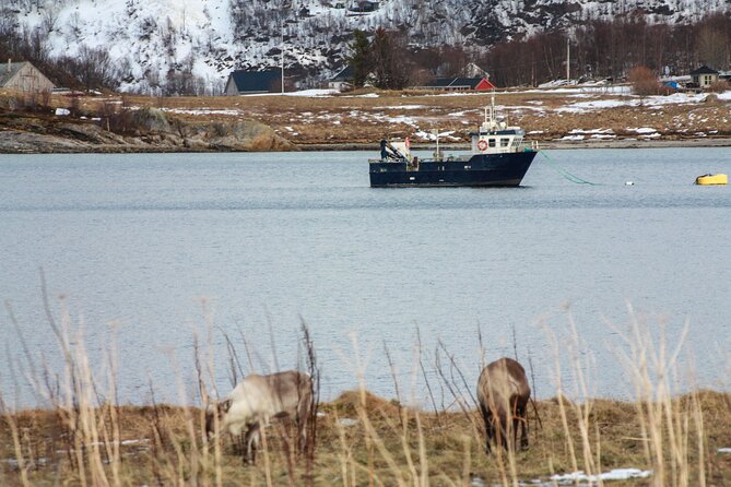Fjord Adventure With Local - Scenic Fjord Exploration