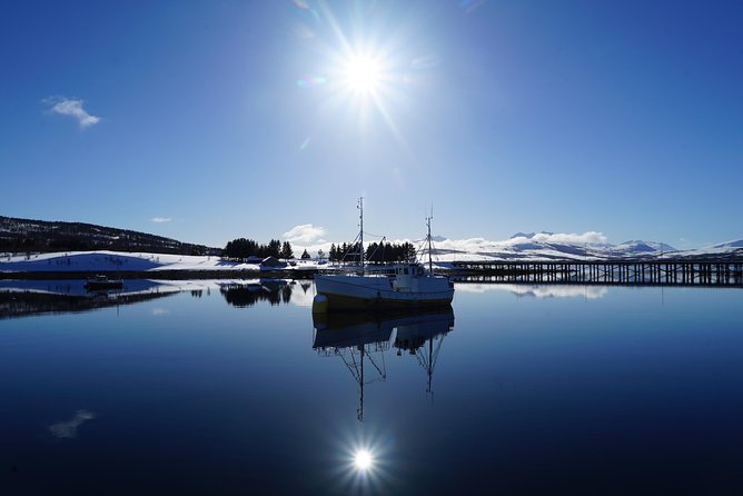 Fjord Cruise in a Luxury Yacht Arctic Queen - Customize Your Fjord Cruising Itinerary