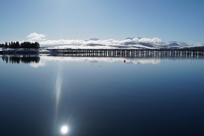 Fjord Cruise in a Luxury Yacht Arctic Queen - Convenient Meeting and Pickup Location