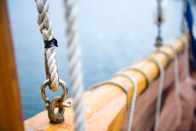 Fjord & History Cruise - Accessibility and Restrictions