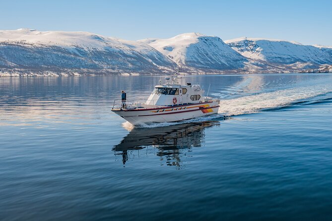 Fjord Safari in the Altafjord - Booking and Cancellation Policy