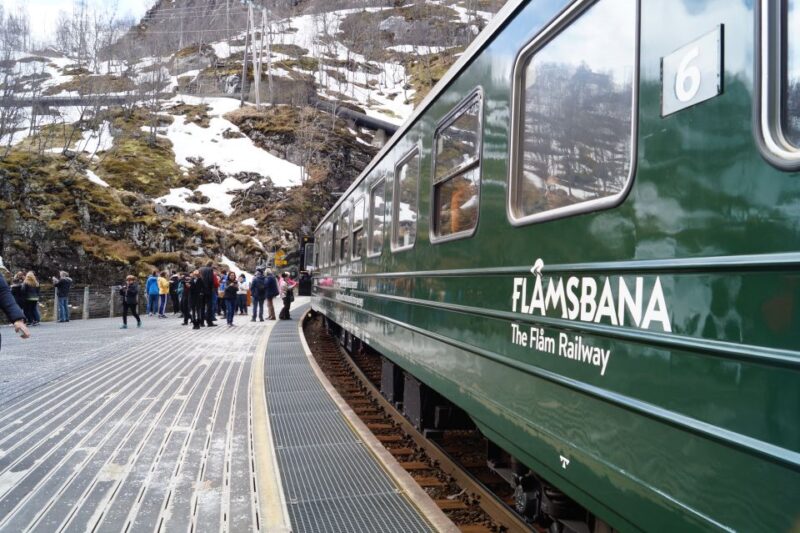 Fjords: Private Trip With Train and Cruise Ride - Included Amenities
