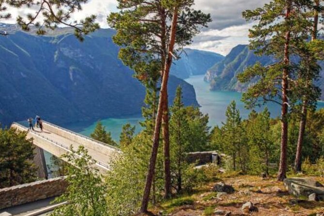 Flam: The Spectacular Stegastein Viewpoint Tour (Small Group) - Stunning Scenery at Stegastein Viewpoint