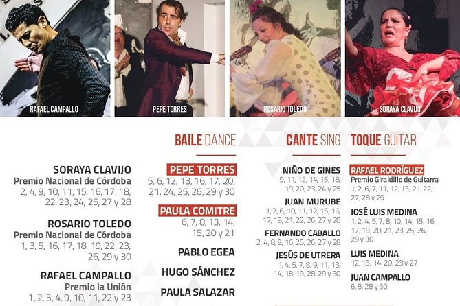 Flamenco Show Admission Ticket - Accessibility Information