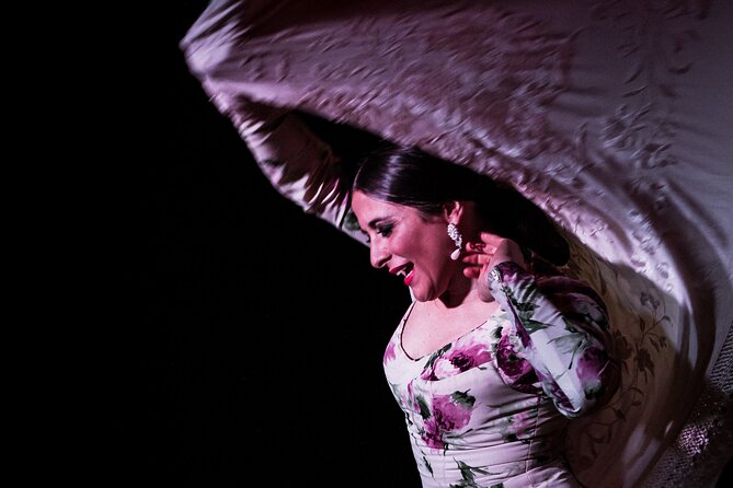 Flamenco Show at Café Ziryab: Madrid - Traveler Recommendations