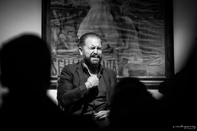 Flamenco Show in Seville at Bar and Tapas - Accessibility