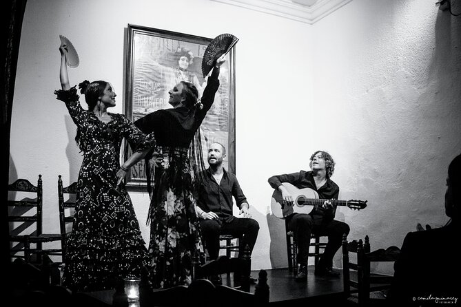 Flamenco Show in Seville - The Milonga Tablao - Talented Performers