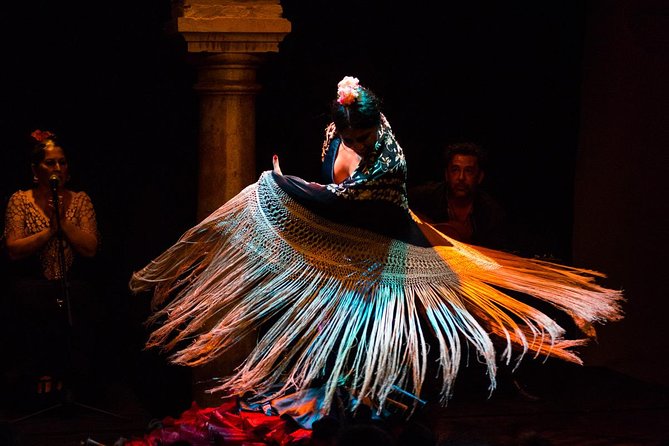 Flamenco Show Museum of Flamenco Dance - Styles and Performances