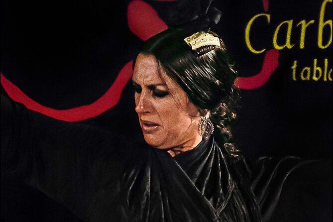 Flamenco Show With a Drink Included. - Accessibility Details