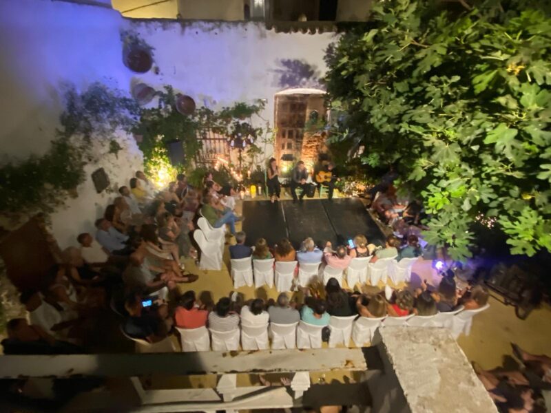 Flamenco Tablao La Puerta Ancha Entrance Ticket - Flamenco Experience