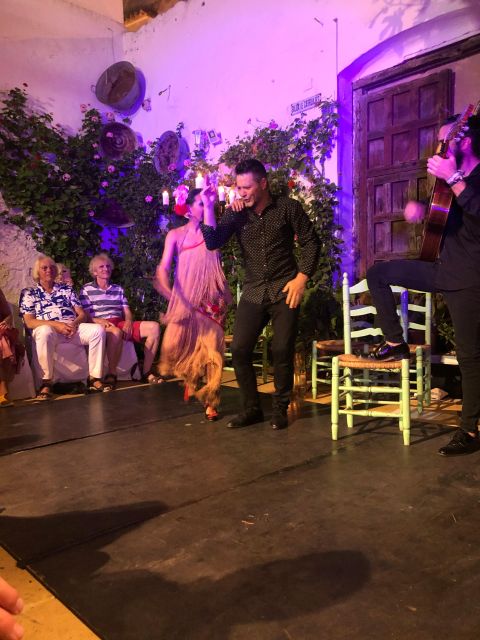 Flamenco Tablao La Puerta Ancha Entrance Ticket - Key Points