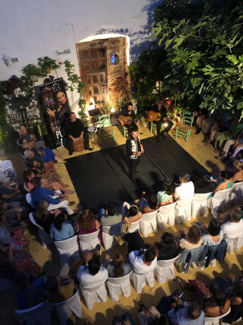 Flamenco Tablao La Puerta Ancha Entrance Ticket - Accessibility
