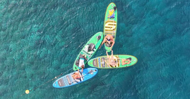 Flamingo Beach: Guided SUP and Snorkeling Experience - Highlights