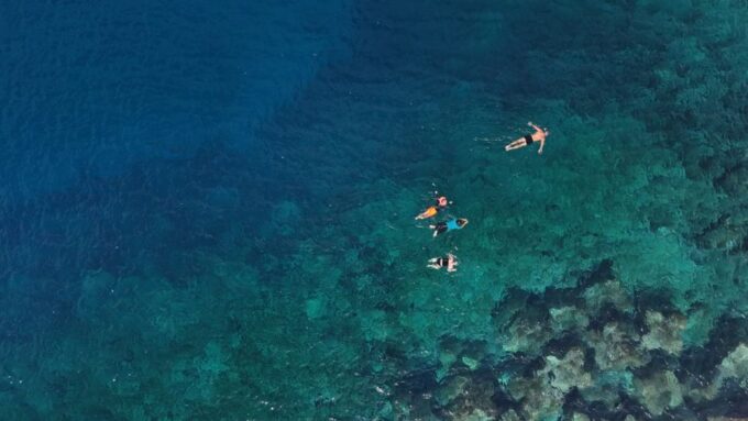 Flamingo Beach: Guided SUP and Snorkeling Experience - Paddle Board Experience