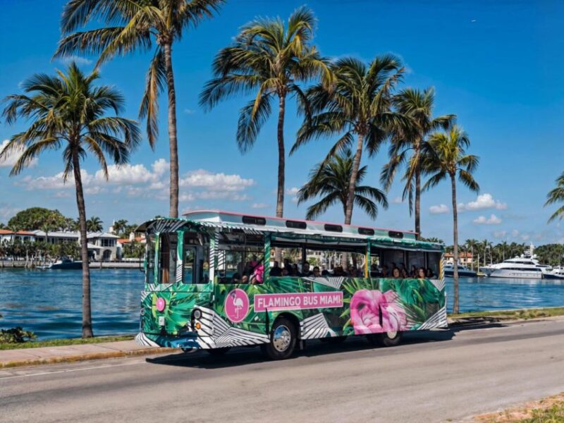 Flamingo Bus Miami Tour Open Air Trolley Tours Miami Fun - Important Information
