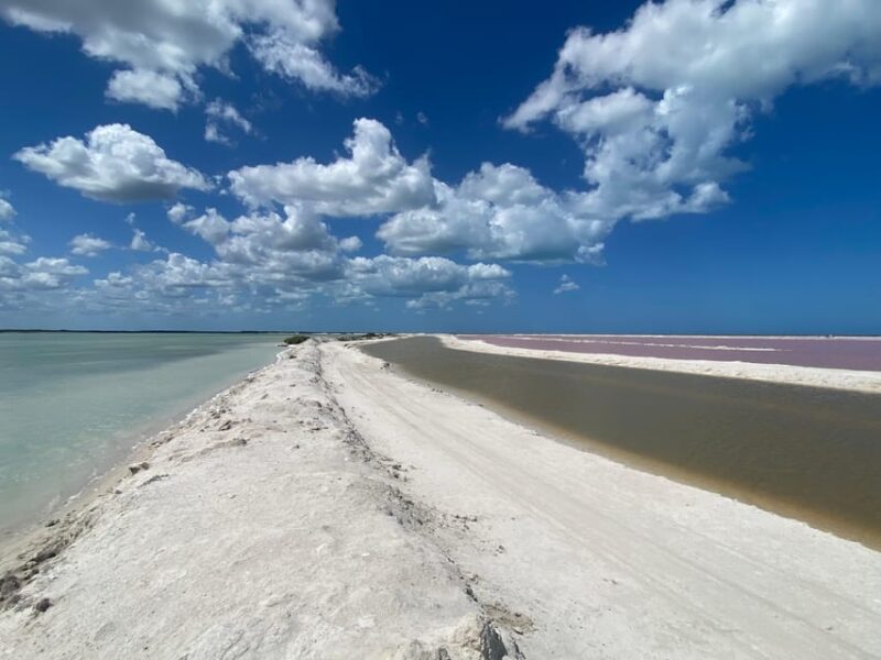 Flamingo Deluxe Rio Lagartos and Las Coloradas - Boat Ride Through Biosphere