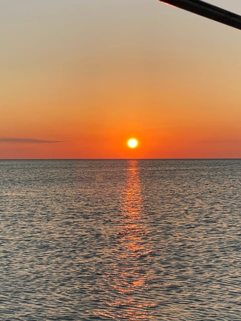 Flamingo Deluxe Rio Lagartos and Las Coloradas - Frequently Asked Questions