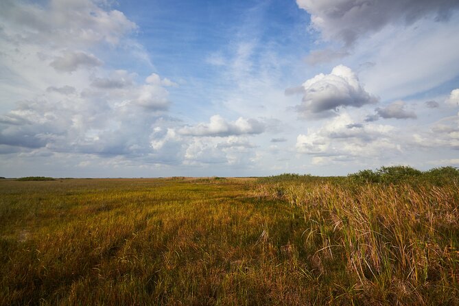 Flamingo Everglades Boat Tours - Tour Details and Capacity