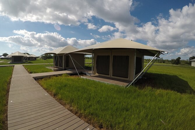 Flamingo Everglades Boat Tours - Customer Feedback and Experiences