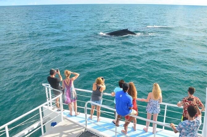 Flamingo Family Fun Catamaran Snorkel:Comfortable Shaded Seating - Key Points