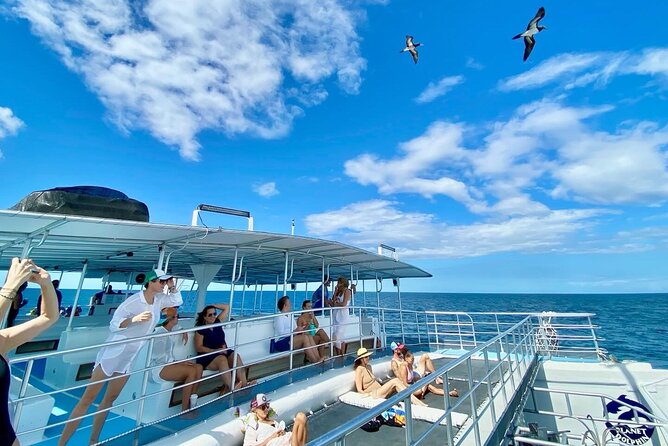 Flamingo Family Fun Catamaran Snorkel:Comfortable Shaded Seating - Amenities and Inclusions