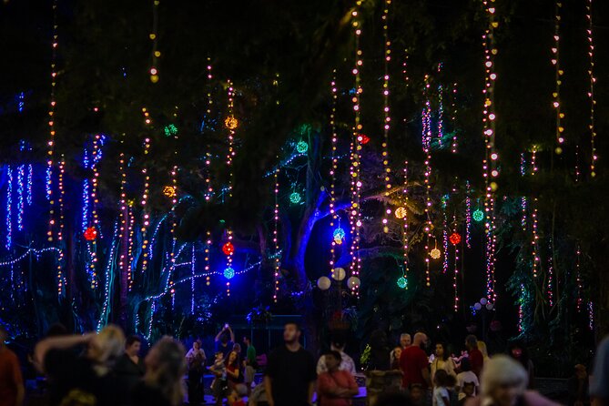 Flamingo Gardens Garden of Lights - Key Points