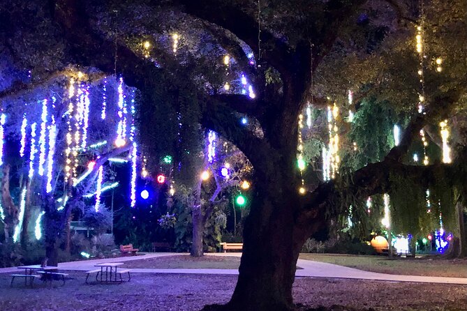 Flamingo Gardens Garden of Lights - Accessibility and Inclusivity