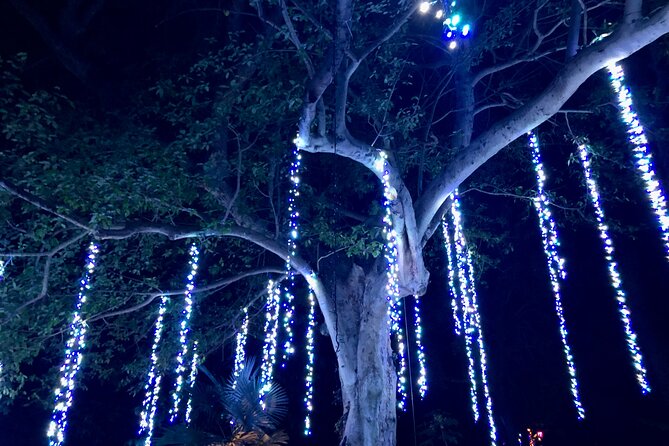 Flamingo Gardens Garden of Lights - Booking and Reservation Details
