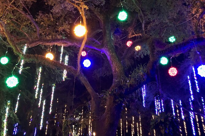 Flamingo Gardens Garden of Lights - Directions and Transportation
