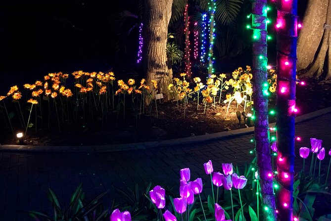 Flamingo Gardens Garden of Lights - Local Entertainment and Activities