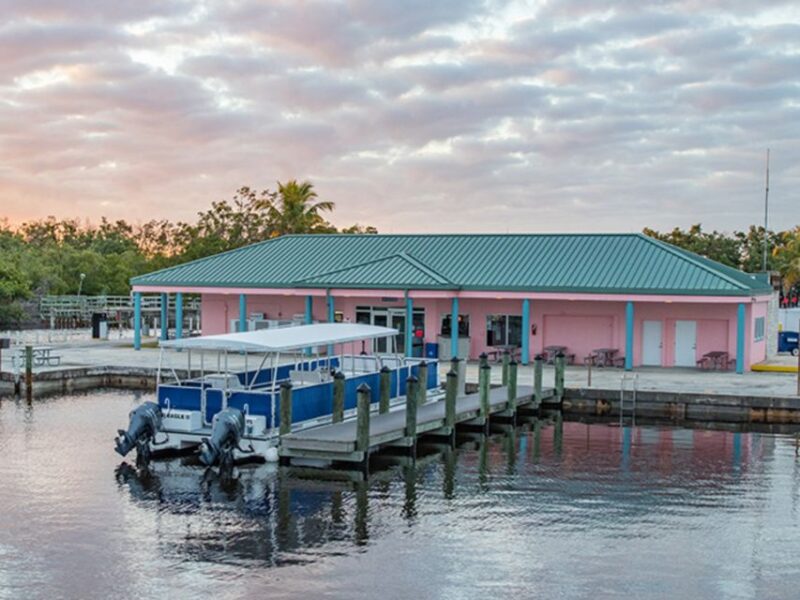 Flamingo Marina: Backcountry Boat Tour of the Everglades - Exploring the Serene Everglades Environment