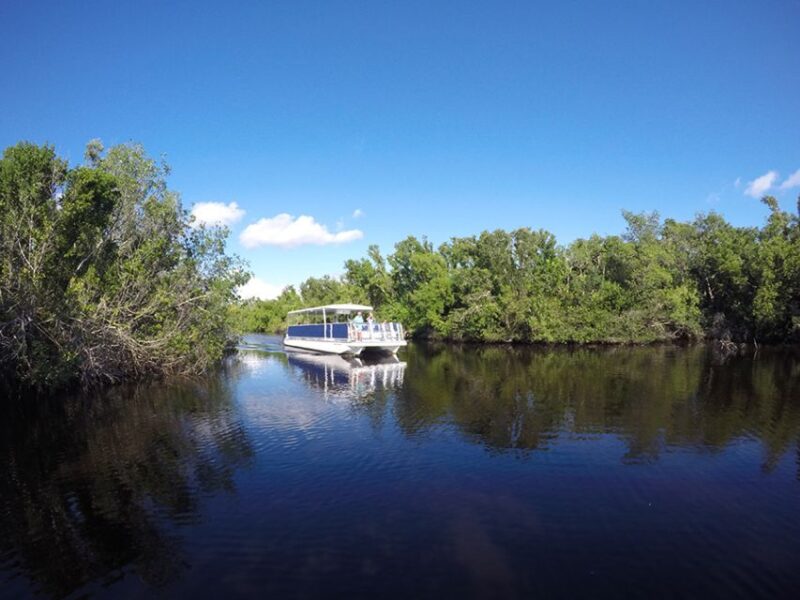 Flamingo Marina: Backcountry Boat Tour of the Everglades - Learning About the Parks History and Nature