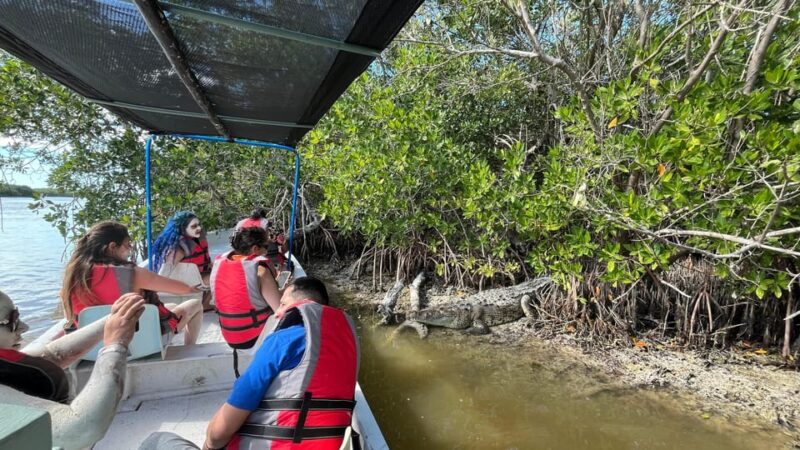 Flamingo Tour in Rio Lagartos, Yucatan 3 Hours - Inclusions and Essentials