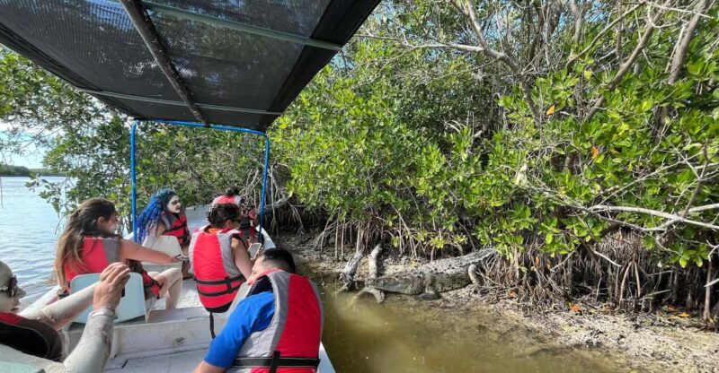 Flamingo Tour Rio Lagartos, Yucatan 2 Hours - Experience Highlights