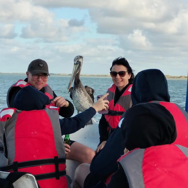Flamingo Tour Rio Lagartos, Yucatan 2 Hours - Itinerary Details