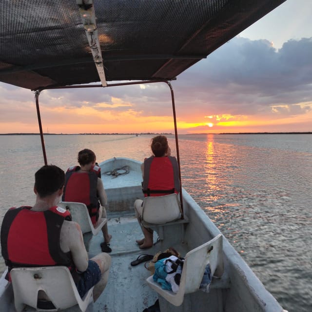Flamingo Tour Rio Lagartos, Yucatan 2 Hours - Inclusions and Requirements