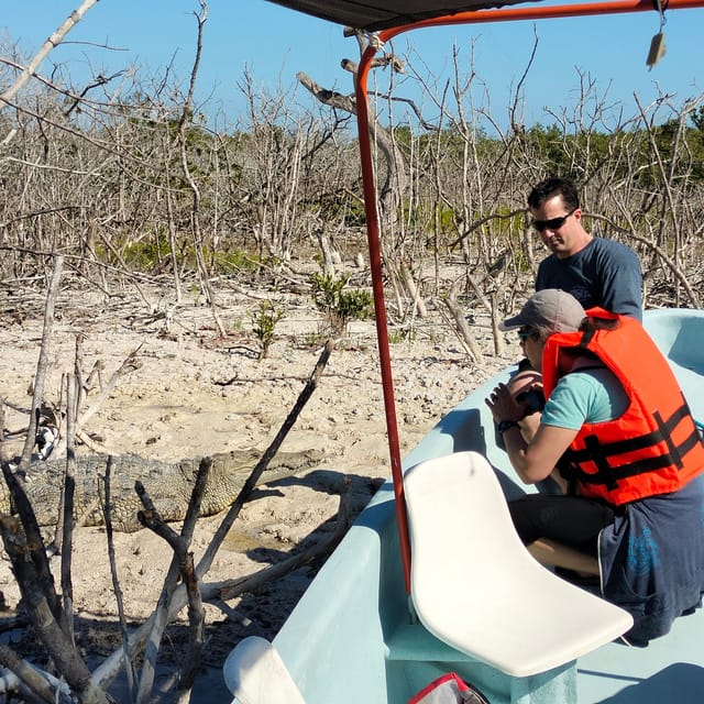 Flamingo Tour Rio Lagartos, Yucatan 2 Hours - Booking and Cancellation
