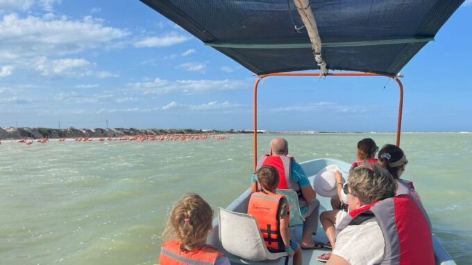Flamingo Tour Rio Lagartos, Yucatan 2 Hours - What to Expect