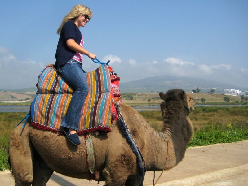 Flamingos River Camel Ride With Tea - Experience Highlights