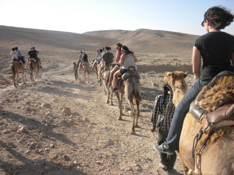 Flamingos River Camel Ride With Tea - Booking Information