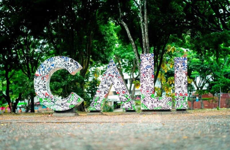 Flavors of Cali: Food Tour at the Local Market - Experience Highlights