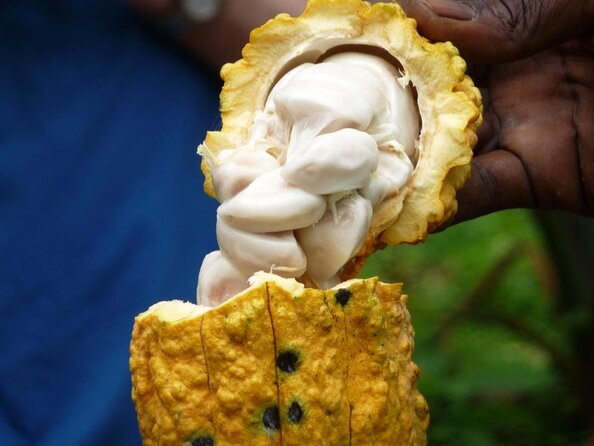 Flavors of Grenada - About Your Stay