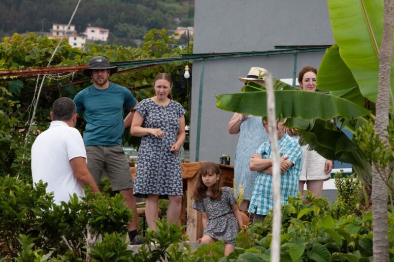 Flavors of Madeira: Wine & Dine Local Farmer Food - Starting and Drop-off Locations
