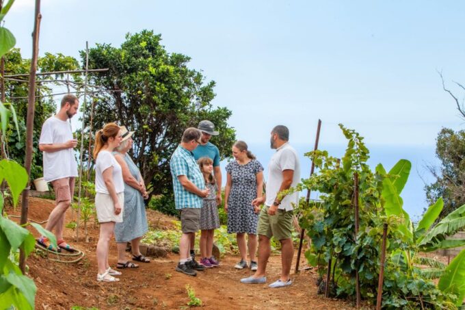 Flavors of Madeira: Wine & Dine Local Farmer Food - Frequently Asked Questions