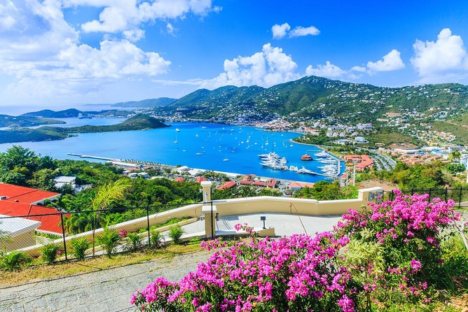 Flavors of St Thomas Walking Food Tour - Dietary Accommodations