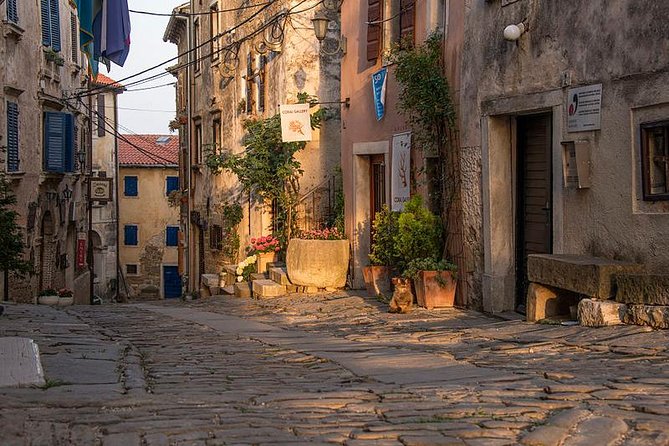 Flavours of Istria Tasting Experience From Koper - Savoring Local Liquors and Truffles