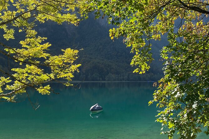 Flavours of Switzerland Luxury Private Tour From Zurich & Lucerne - Expert Local Swiss Guidance