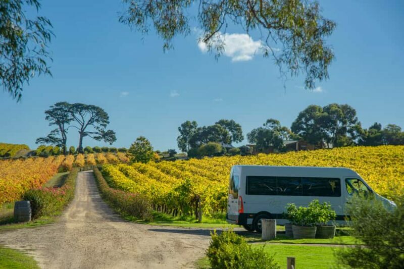 Fleurieu Peninsular: McLaren Vale Winery Experience - The Value in the Experience