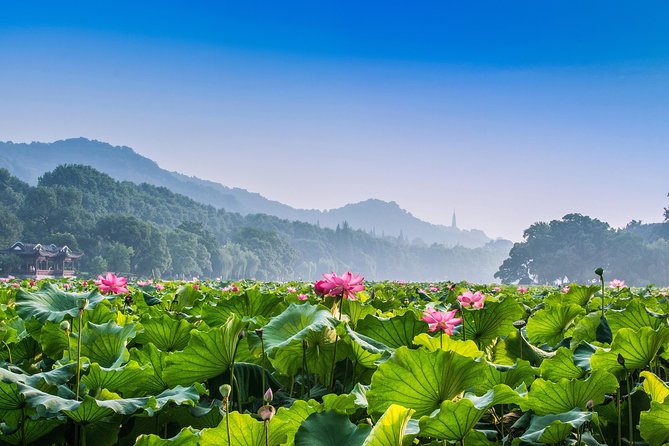 Flexible Hangzhou Private Day Tour With Lunch - Exploring West Lake